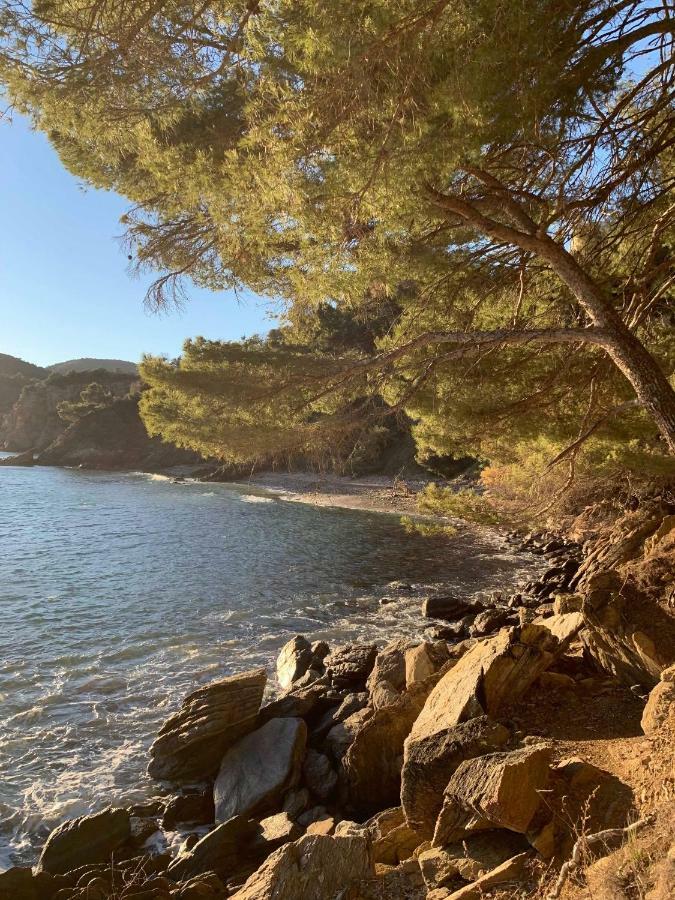 Villa Cavalaire Sur Mer Exteriér fotografie