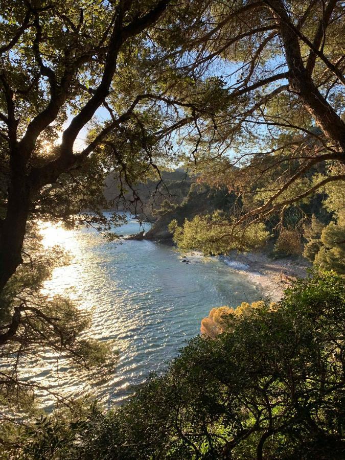 Villa Cavalaire Sur Mer Exteriér fotografie